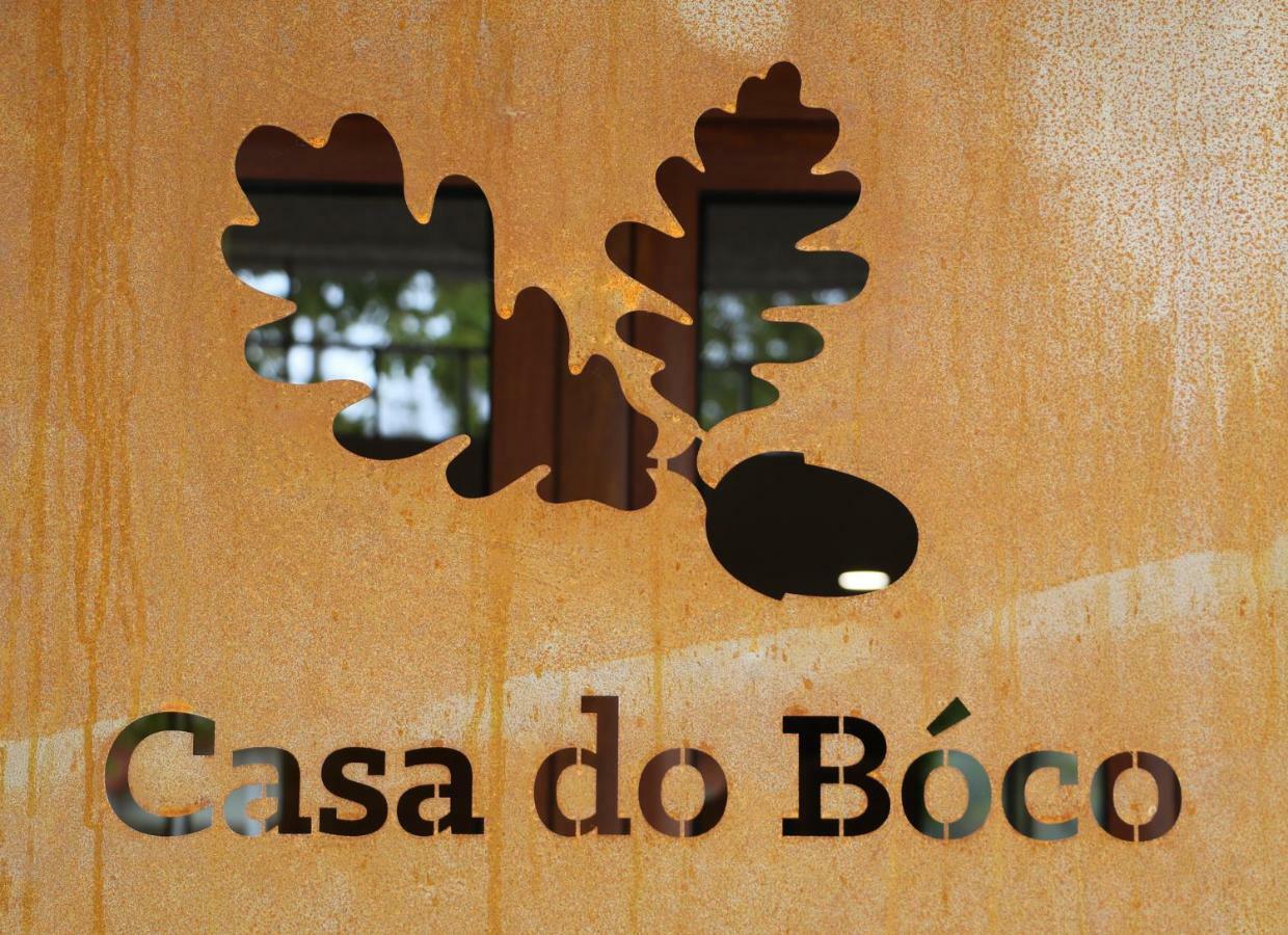 オリヴェイラ・ド・オスピタル Casa Do Bocoヴィラ エクステリア 写真